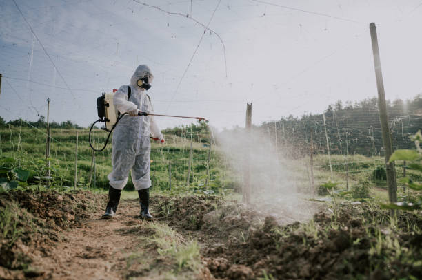 Best Ant Control Services  in Black River, NY