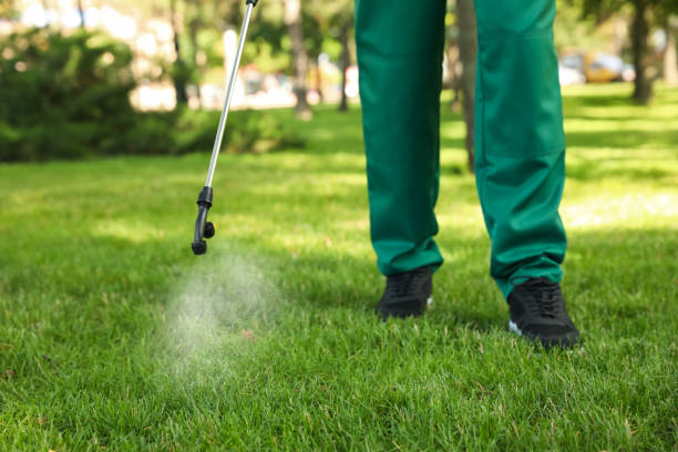 Insect Control in Black River, NY