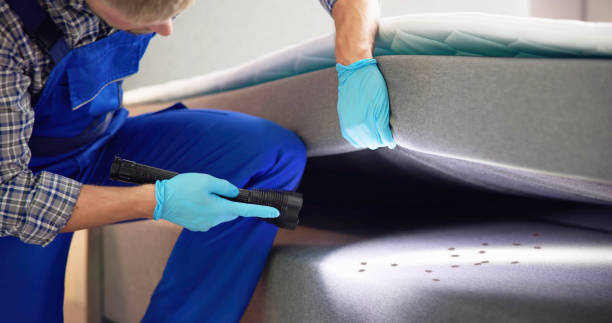 Best Rat Extermination Near Me  in Black River, NY