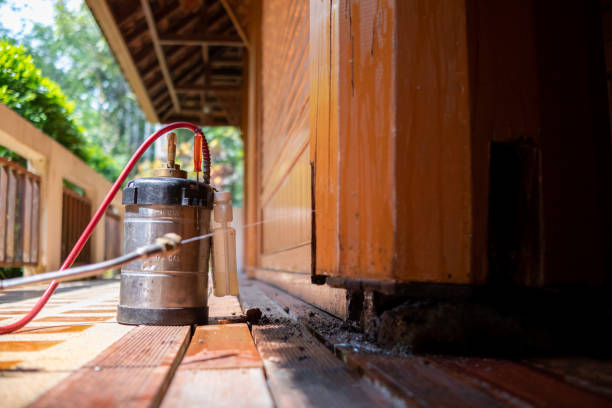 Best Mosquito Control Services  in Black River, NY