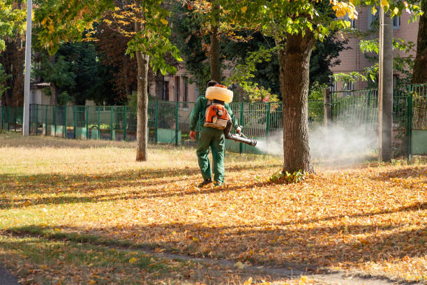 Reliable Black River, NY Pest Control Solutions