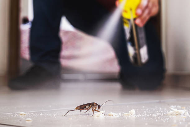 Pest Prevention Services in Black River, NY