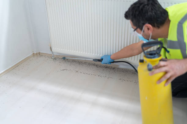 Best Mosquito Control Services  in Black River, NY