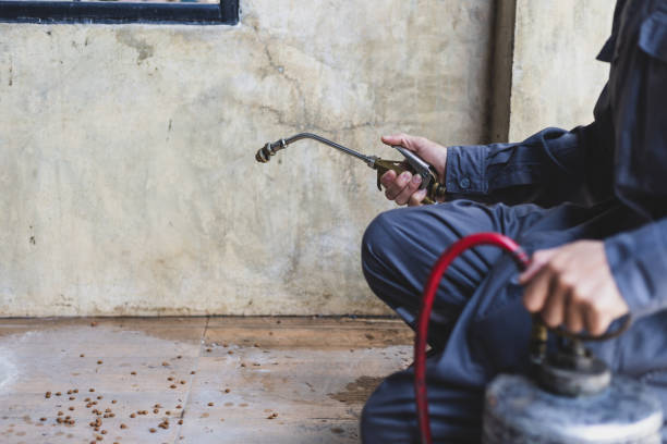 Best Pest Removal Services  in Black River, NY